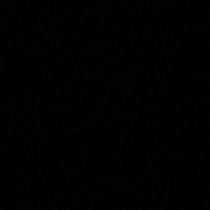 Meet your Posher, Nicki